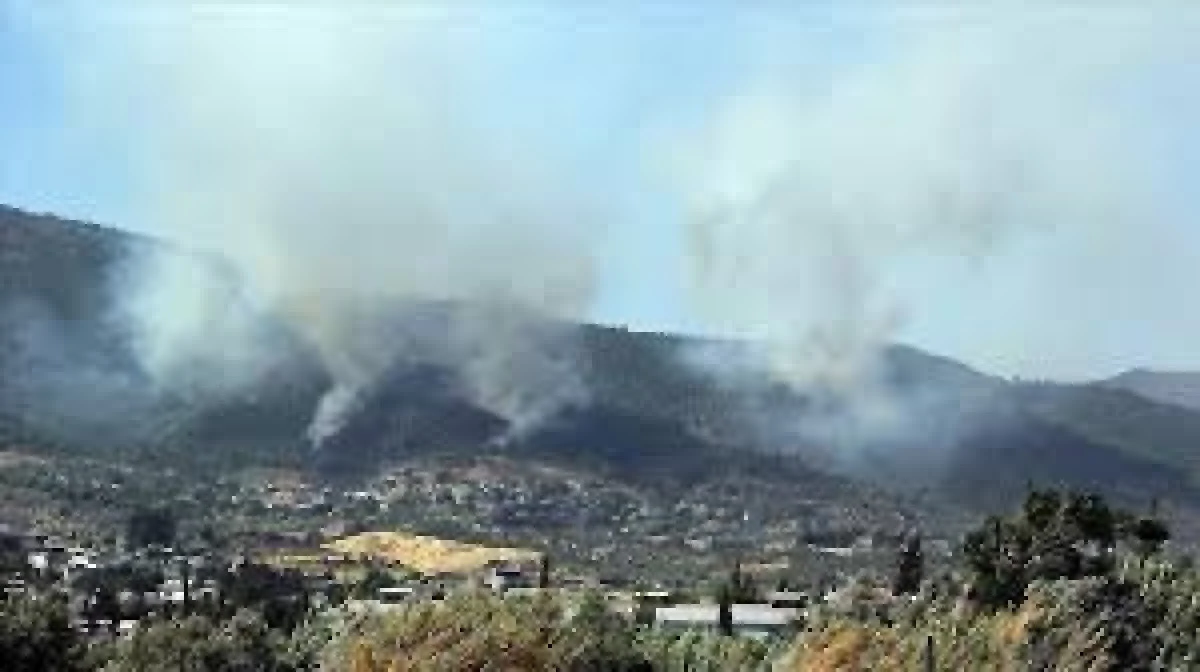 HATAY'DA ORMAN YANGINI