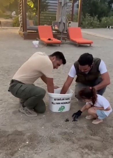 SAHİLDE MAHSUR KALAN 23 CARETTA CARETTA YAVRUSU DENİZE ULAŞTIRILDI