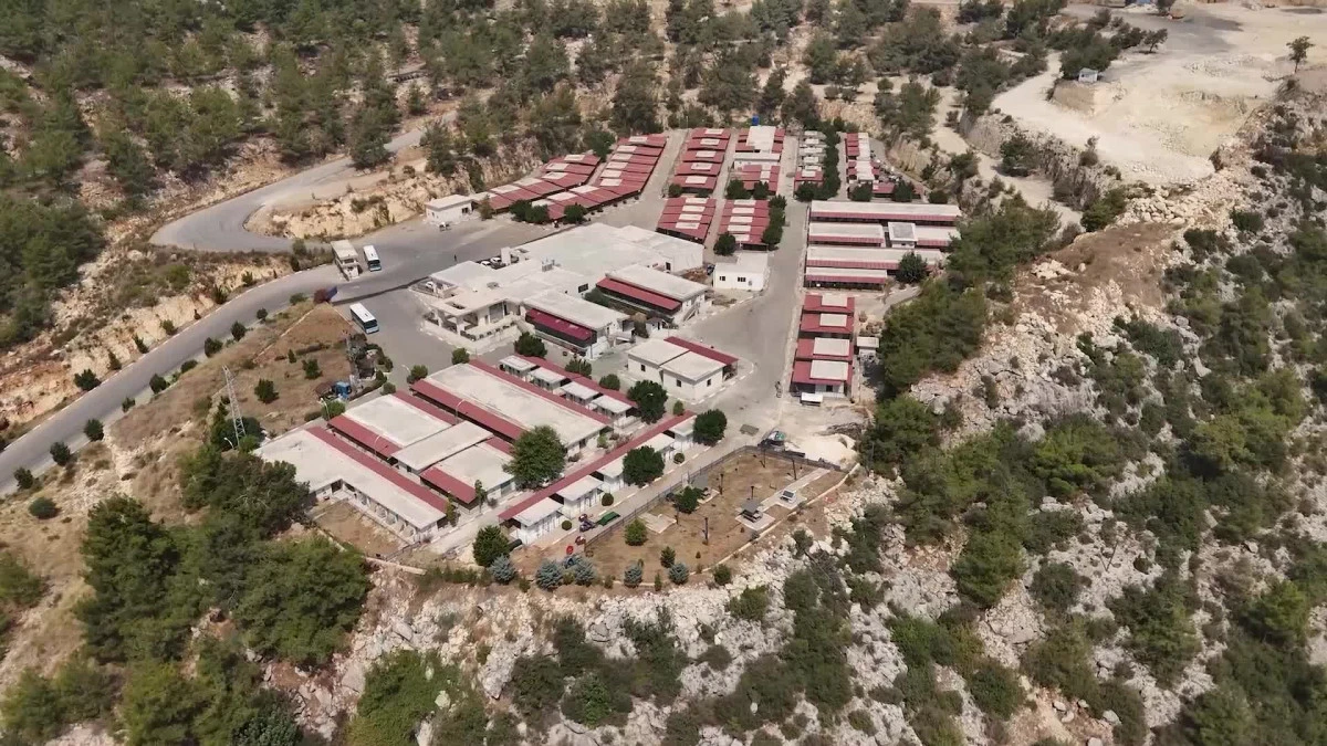 Mersin Büyükşehir Belediyesi'nden Kaşlı Hayvan Bakımevi iddialarına soruşturma