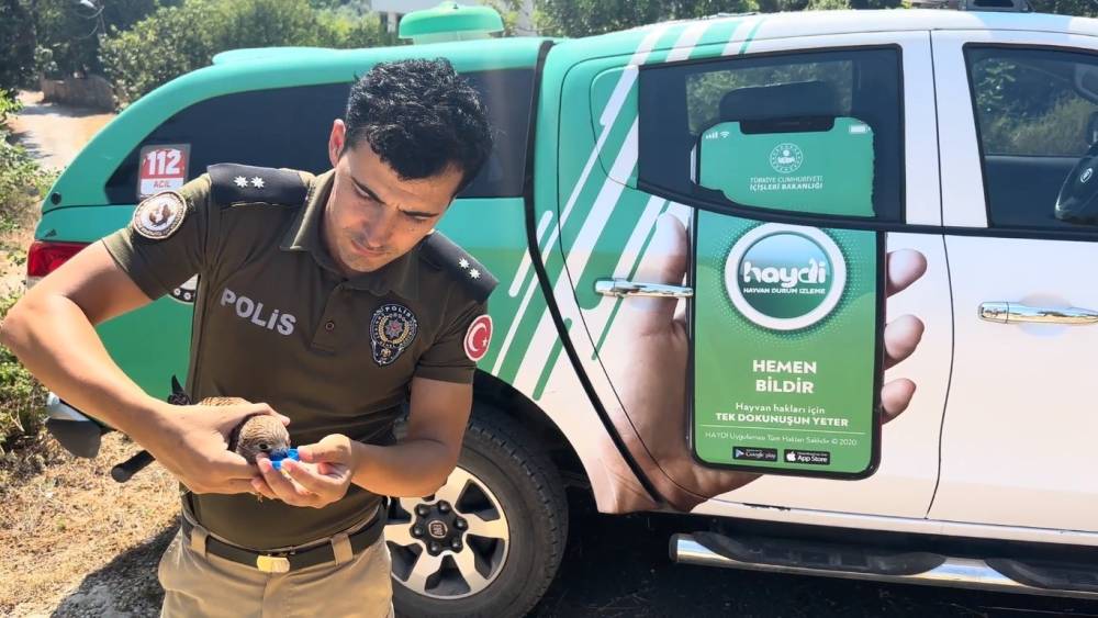 SICAKTAN ÖLMEK ÜZERE OLAN KERKENEZİ POLİS HAYATA DÖNDÜRDÜ