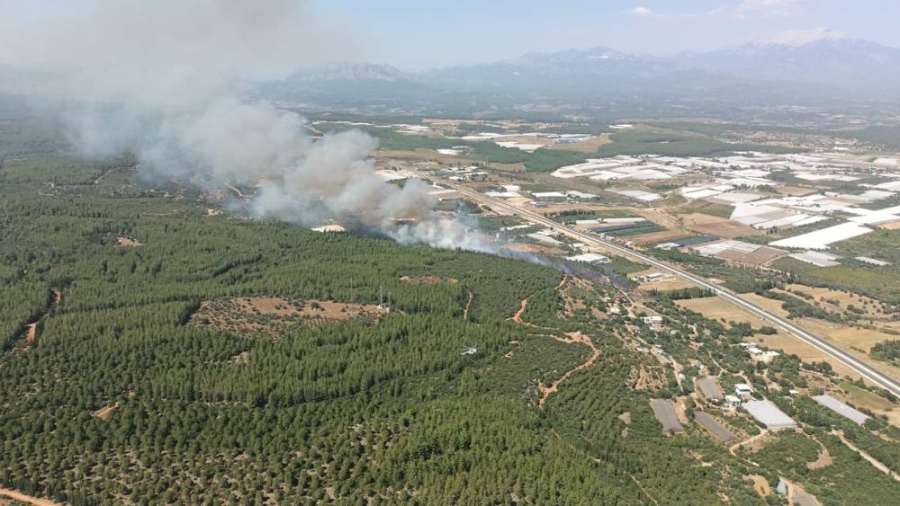 ANTALYA’DA ORMAN YANGINI