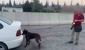 OTOMOBİLDEKİ BAVULDA 19 KİLO 150 GRAM ESRAR ÇIKTI