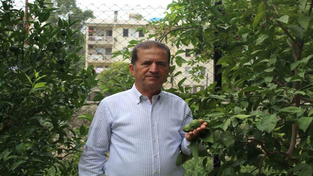 DOĞAN: “DFİF TÜM NARENCİYE ÜRÜNLERİ İÇİN VERİLMELİ”