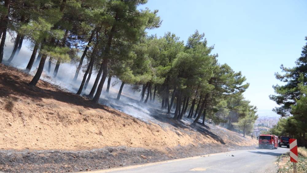 KAHRAMANMARAŞ’TAKİ ORMAN YANGININDA BİR KİŞİ GÖZALTINA ALINDI