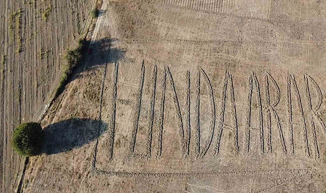 FUNDA ARAR HAYRANLIĞI TARLAYA TRAKTÖRLE İSİM YAZDIRDI