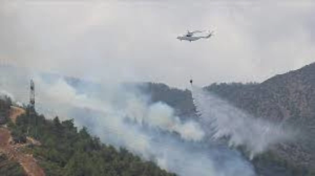 Hatay'da Orman Yangını Kontrol Altına Alındı