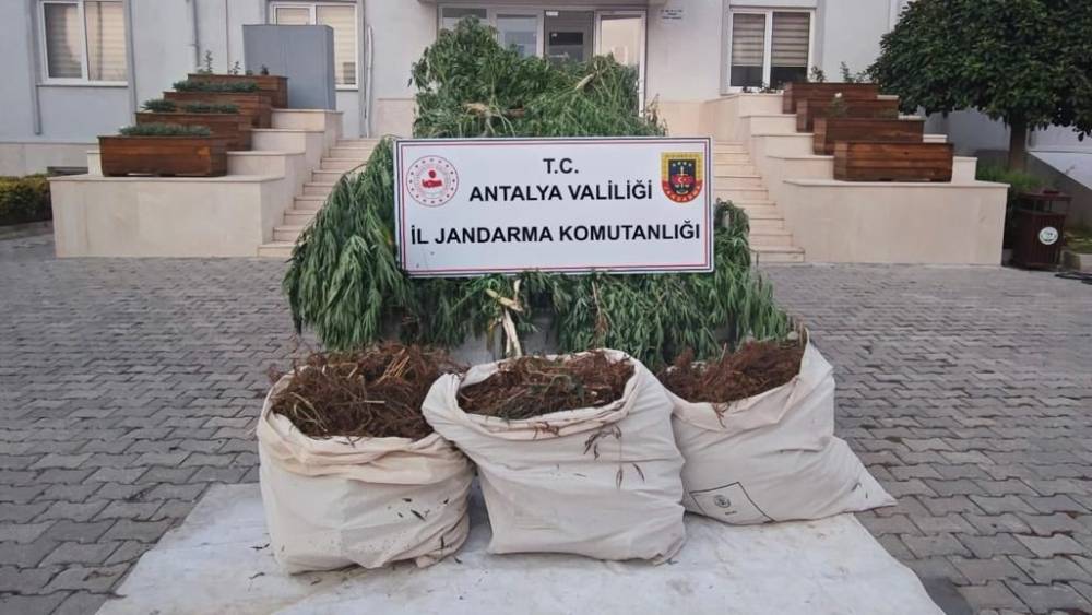 Serik’te jandarmadan uyuşturucu operasyonu: 3 gözaltı