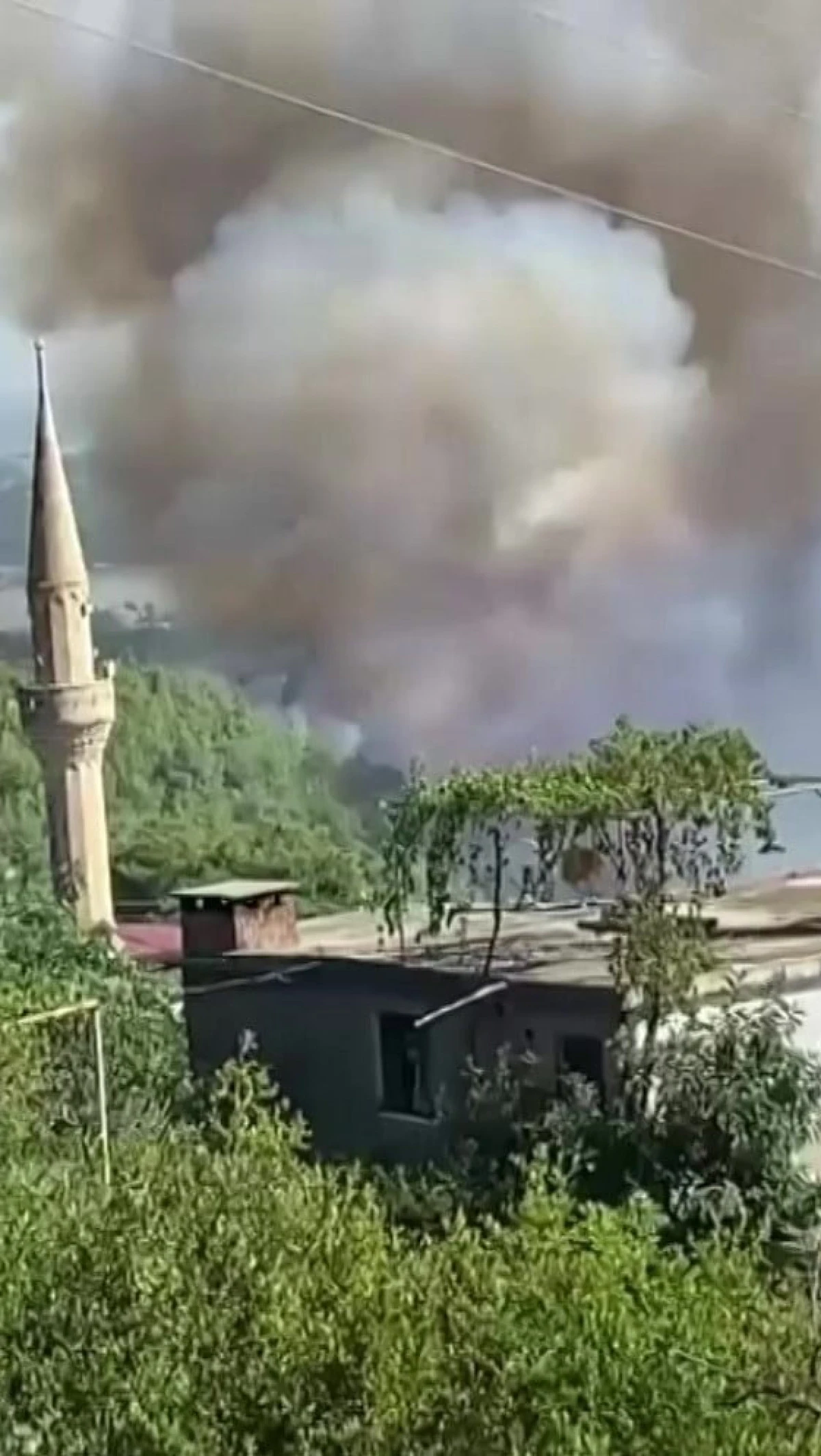 ADANA’DA ORMAN YANGINI! ALEVLER EVLERE YAKLAŞTI